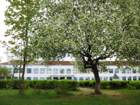 Narocz (Kobylnik). W miasteczku 