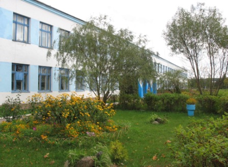 Narocz (Kobylnik). W miasteczku 