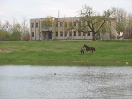 Narocz (Kobylnik). W miasteczku 