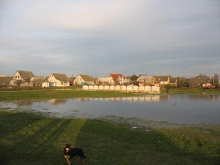 Narocz (Kobylnik). W miasteczku 