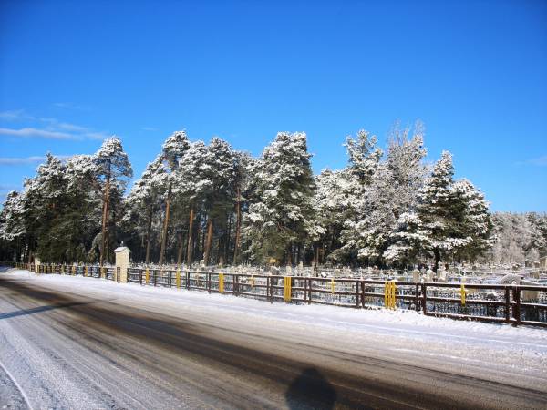 Narocz (Kobylnik). W miasteczku 