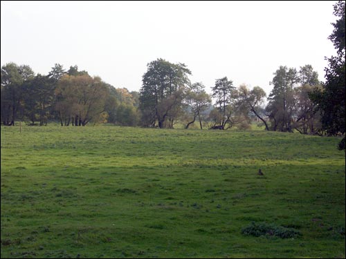 Anopal. Landscapes 