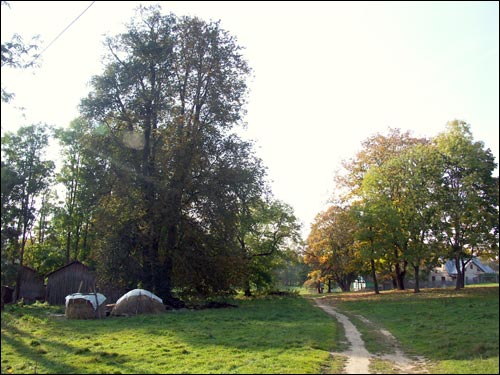 Anopal. Landscapes 