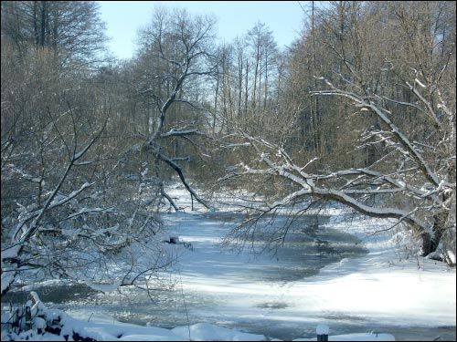 Błoń. Landscapes 
