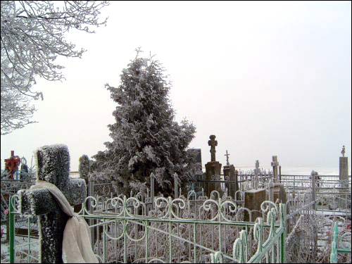 Dunajčycy. Landscapes 