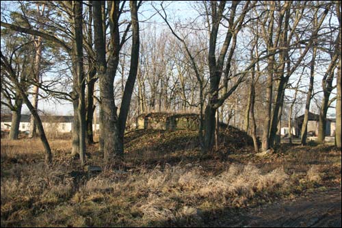 Zubki. Landscapes 
