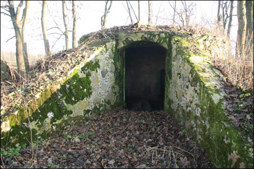  - Landscapes . Ice-house. Entry