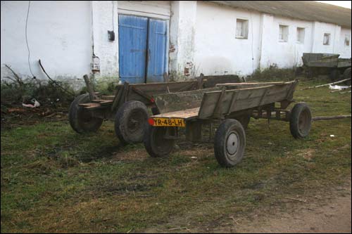 Krasnaja Zwiezda (Radziwilmonty). Dwór gospodarczy 