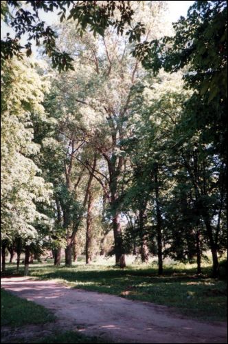 Прилепы. Пейзажи 