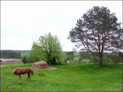 Rubiaževičy. Landscapes 
