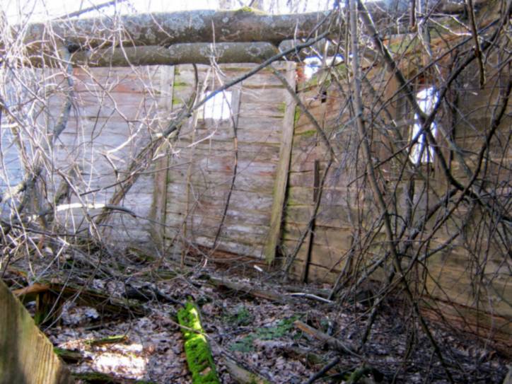 Sialec. Graveyard chapel (ruins)