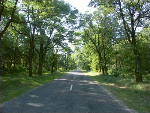 Damačava. Landscapes 
