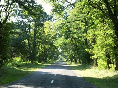 Damačava. Landscapes 
