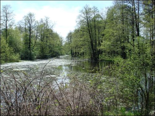 Damačava. Landscapes 
