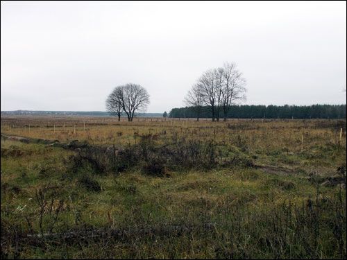 Nadnioman. Landscapes 