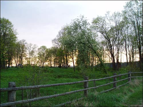 Nadnioman. Landscapes 