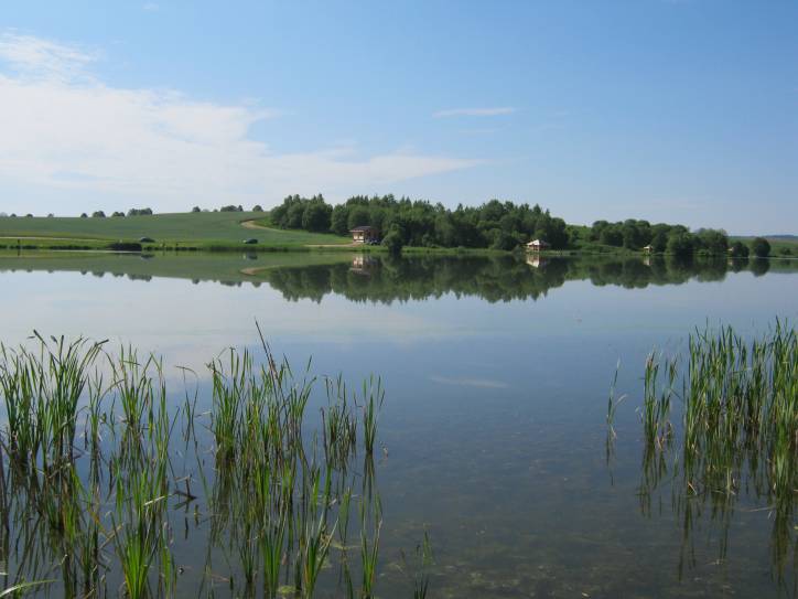  - Краявіды . 