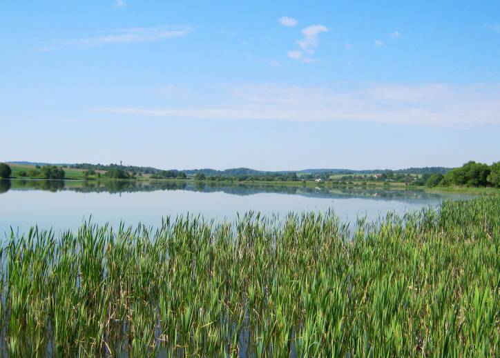  - Краявіды . 