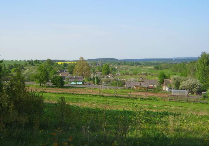  - Краявіды . 