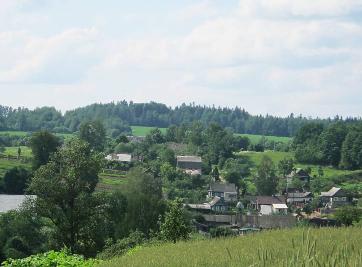  - Краявіды . 