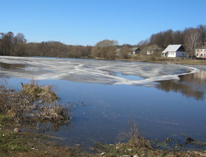  - Краявіды . 