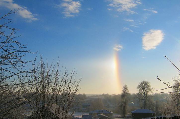  - Краявіды . 