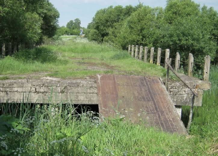  - Краявіды . 