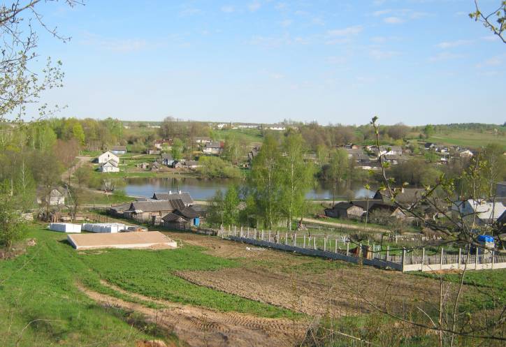  - Краявіды . 