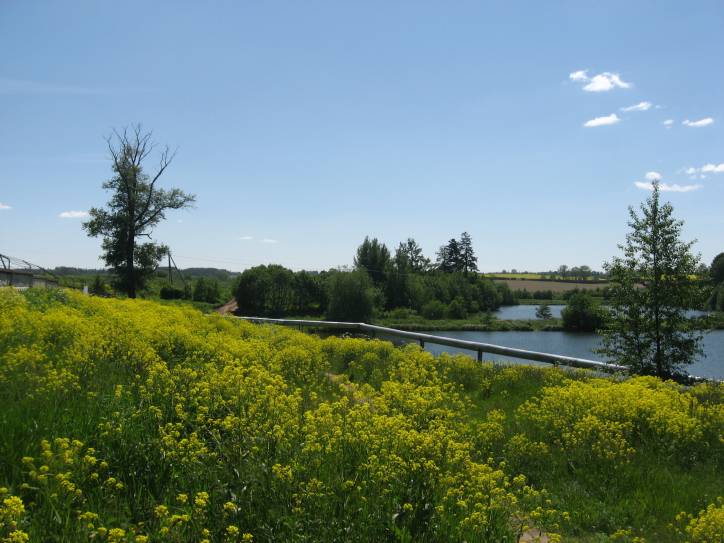 Malinoŭščyna. Landscapes 