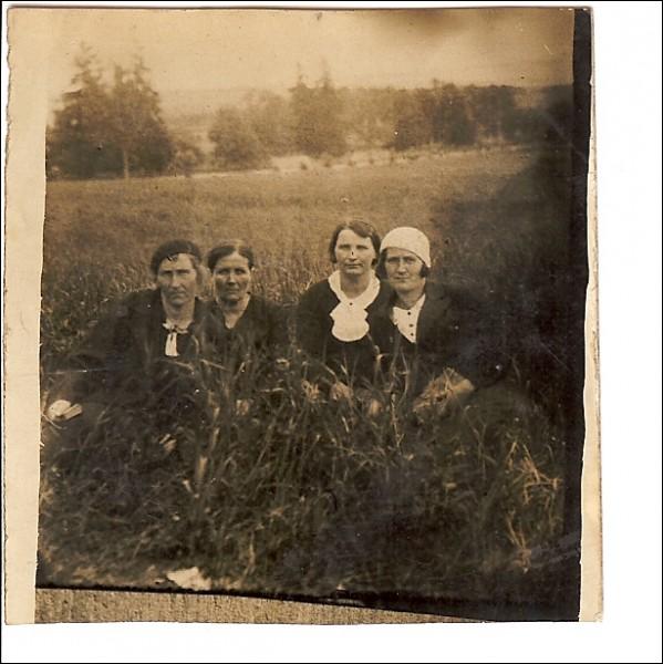Mieszycze. Wieś na starych fotografiach 