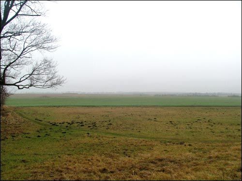 Vialiki Dvor (Harodziaj). Landscapes 