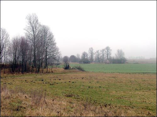 Vialiki Dvor (Harodziaj). Landscapes 