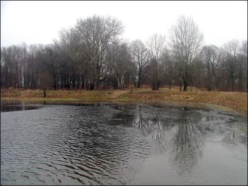 Vialiki Dvor (Harodziaj). Landscapes 