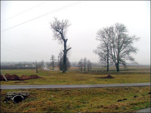 Vialiki Dvor (Harodziaj). Landscapes 