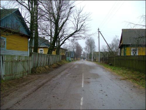 Vialiki Dvor (Harodziaj). Landscapes 