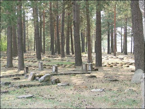 Prońki. Soldierly (WWI) Cemetery 