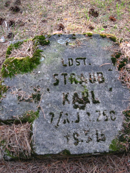 Prońki. Soldierly (WWI) Cemetery 