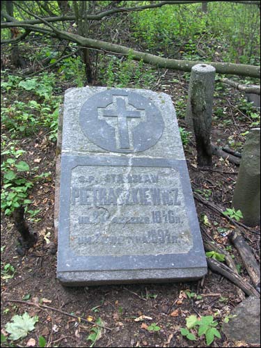  - - .    (1846-1894)