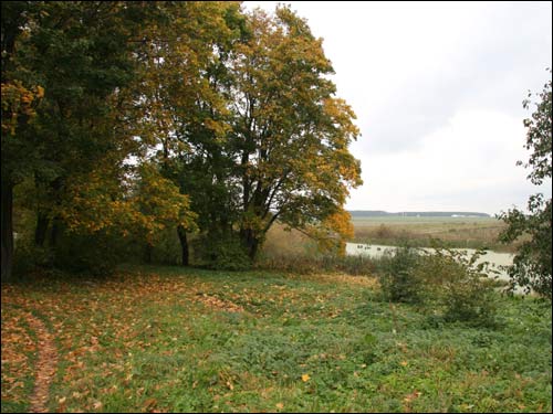  - Manor of Jarmalinski (Jarmoliński). Fragment of the park