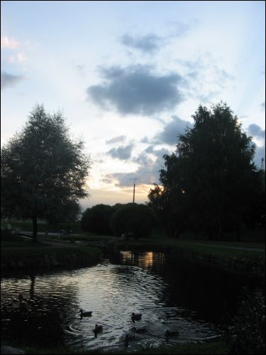  - Краявіды . Здымак зроблены 08.08.2007 г.