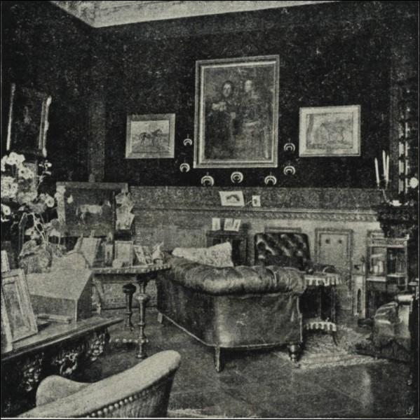  - Radziwill castle. Old photos. 