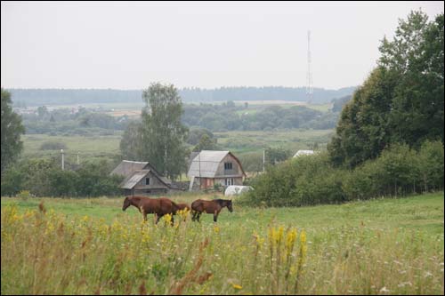 Studzionka. Landscapes 