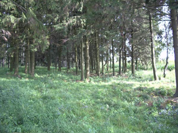 Snów. Cmentarz wojenny z I wojny światowej 