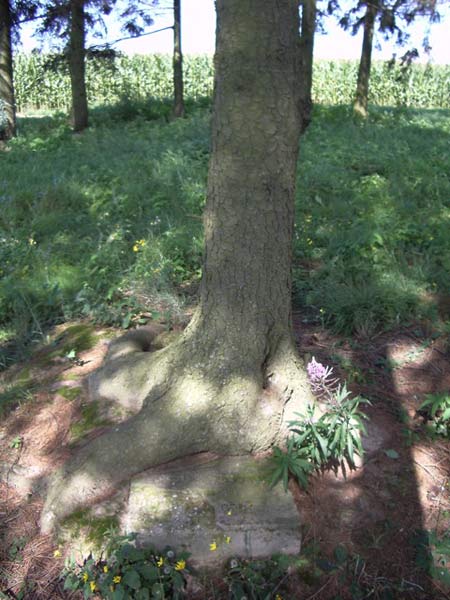 Snów. Cmentarz wojenny z I wojny światowej 