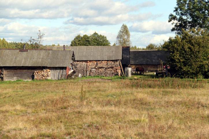  - We wsi . Drewno na opał