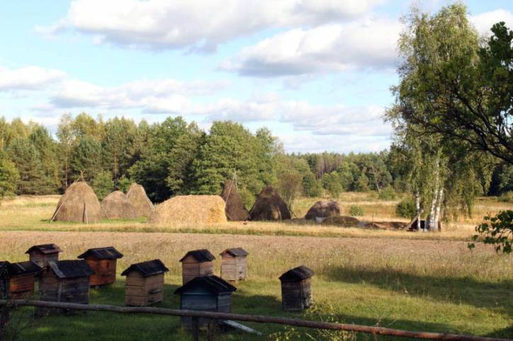 Dziurany. In the village 