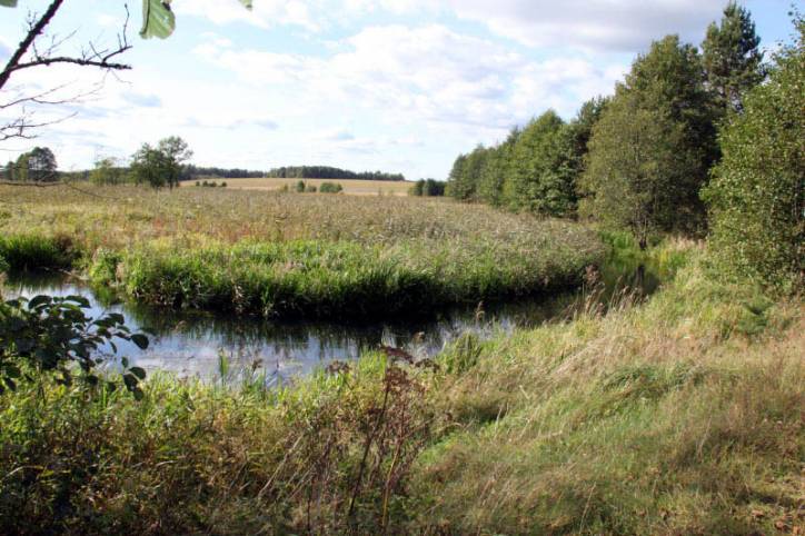  - We wsi . Klewa koło Dziuran