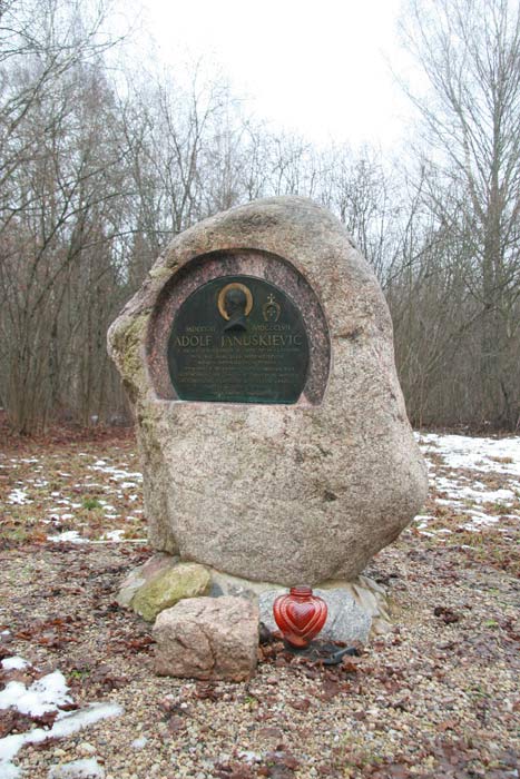 Dziahylnia. Cmentarz rodzinny Januszkiewiczów