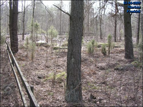 Гарадок. Могілкі габрэйскія