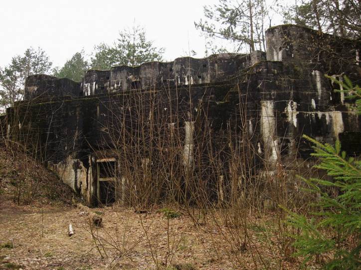 Strelčyki. Defensive Fortifications 